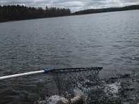 2014-05-10 14-01-24 1399719683